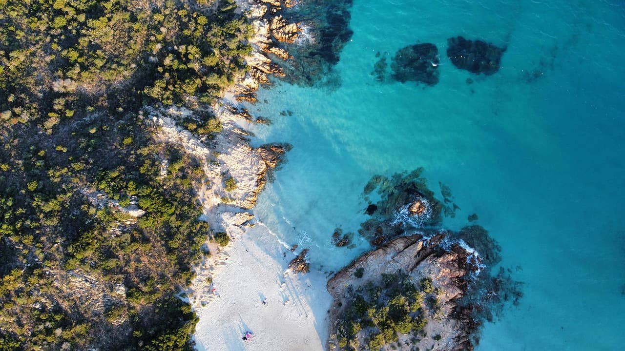 Servizio transfer Shardriver in Sardegna